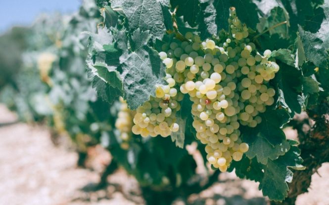 ���������������B(y��ng)�֙z�y�x����Ч��������ʩ����